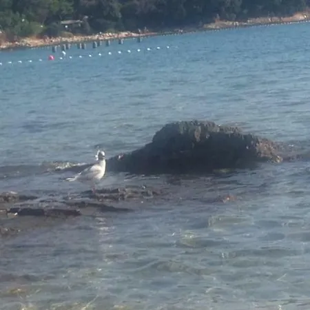 Eni & Dani Appartement *