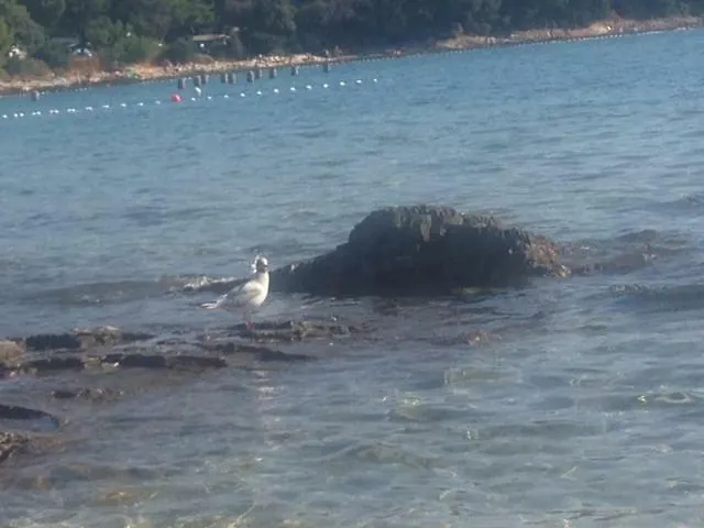 Eni & Dani Lejlighed *